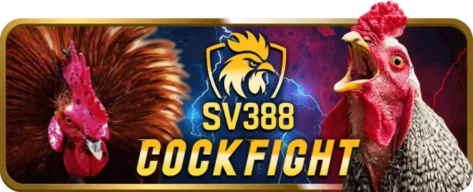 Hoàn trả hàng ngày tại WON99
